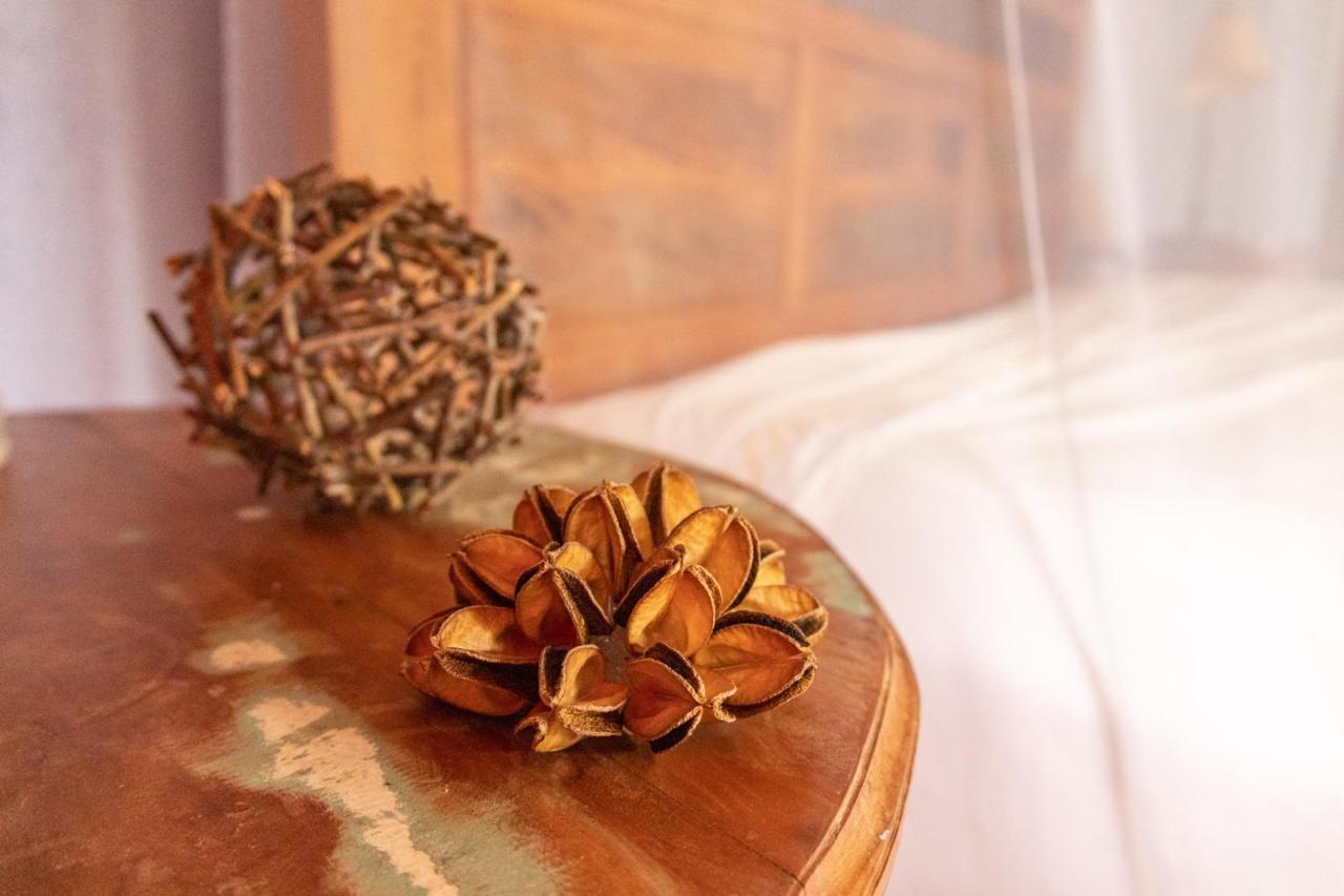 Altamira Eco Retreat Ξενοδοχείο Εξωτερικό φωτογραφία